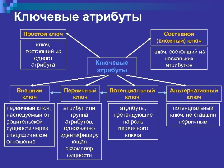 Ключевые атрибуты Простой ключ, состоящий из одного атрибута Составной (сложный) ключ Ключевые атрибуты ключ,