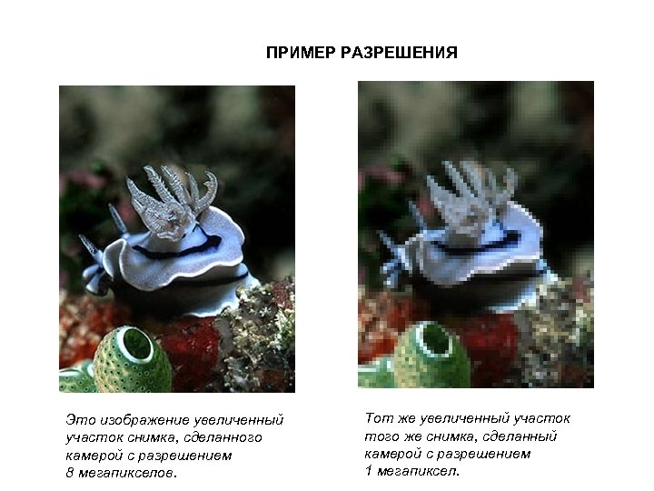 ПРИМЕР РАЗРЕШЕНИЯ Это изображение увеличенный участок снимка, сделанного камерой с разрешением 8 мегапикселов. Тот
