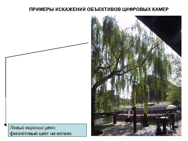 ПРИМЕРЫ ИСКАЖЕНИЙ ОБЪЕКТИВОВ ЦИФРОВЫХ КАМЕР Левый верхний угол: фиолетовый цвет на ветвях 