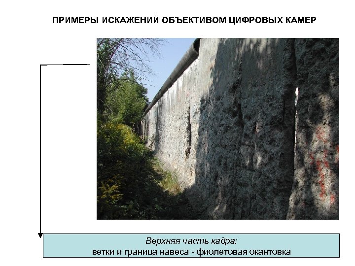 ПРИМЕРЫ ИСКАЖЕНИЙ ОБЪЕКТИВОМ ЦИФРОВЫХ КАМЕР Верхняя часть кадра: ветки и граница навеса - фиолетовая