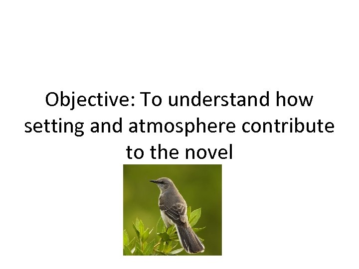 Objective: To understand how setting and atmosphere contribute to the novel 