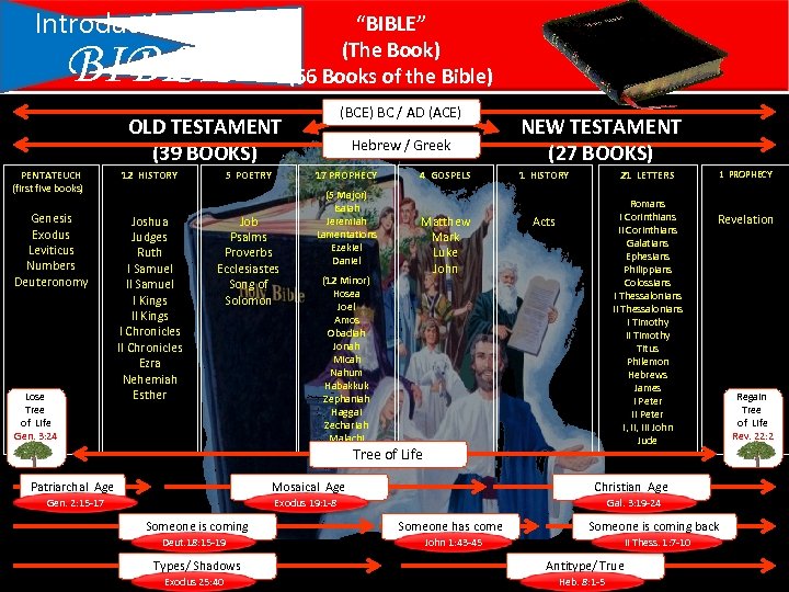 Introduction To The BIBLE “BIBLE” (The Book) (66 Books of the Bible) (BCE) BC