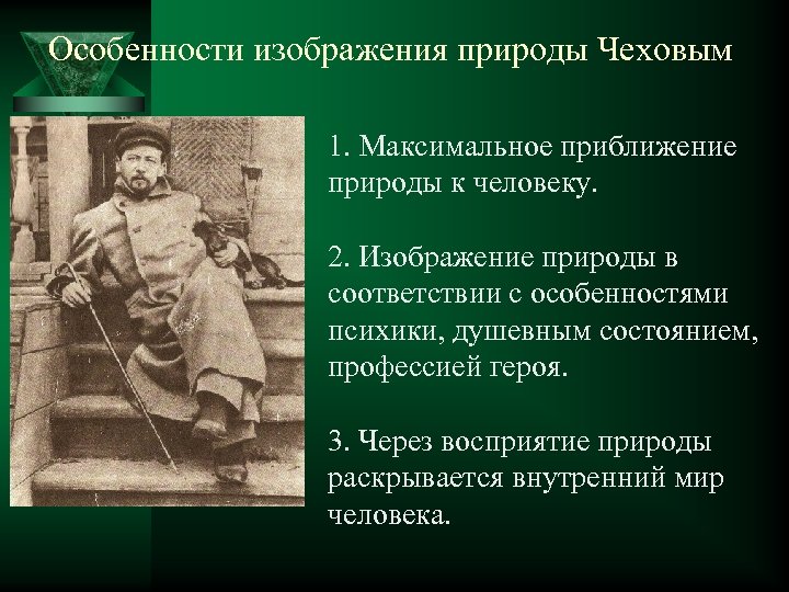 Особенности изображения природы Чеховым 1. Максимальное приближение природы к человеку. 2. Изображение природы в