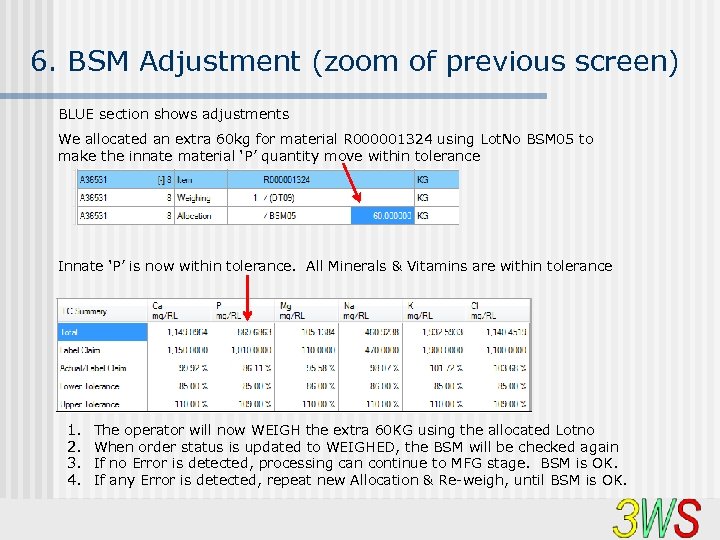 6. BSM Adjustment (zoom of previous screen) BLUE section shows adjustments We allocated an