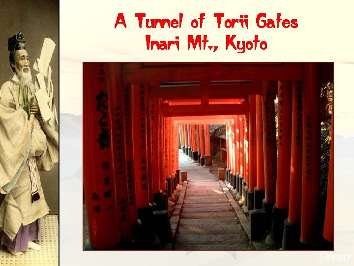 A Tunnel of Torii Gates Inari Mt. , Kyoto 