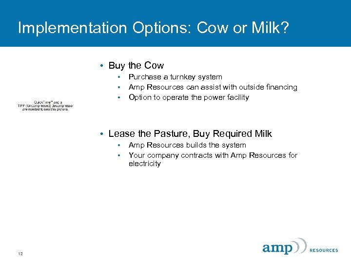 Implementation Options: Cow or Milk? • Buy the Cow • • • Purchase a