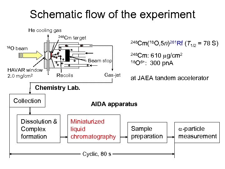 Schematic flow of the experiment He cooling gas 248 Cm 18 O target 248