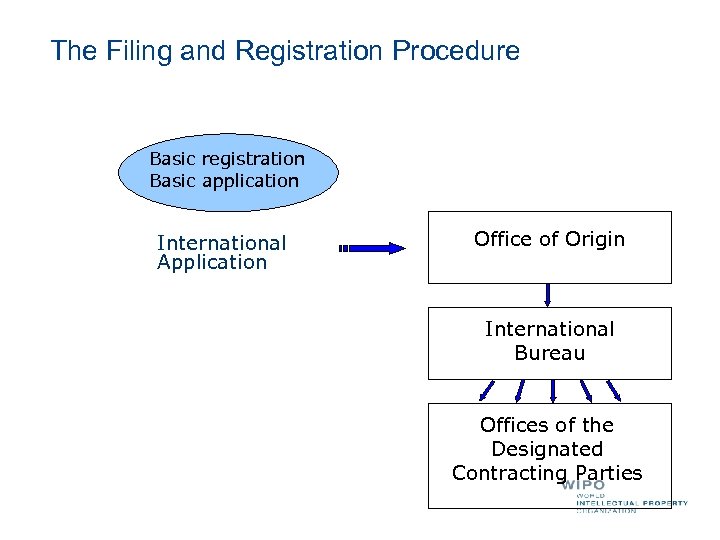 The Filing and Registration Procedure Basic registration Basic application International Application Office of Origin