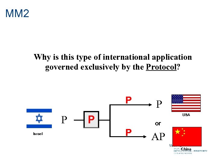 MM 2 Why is this type of international application governed exclusively by the Protocol?