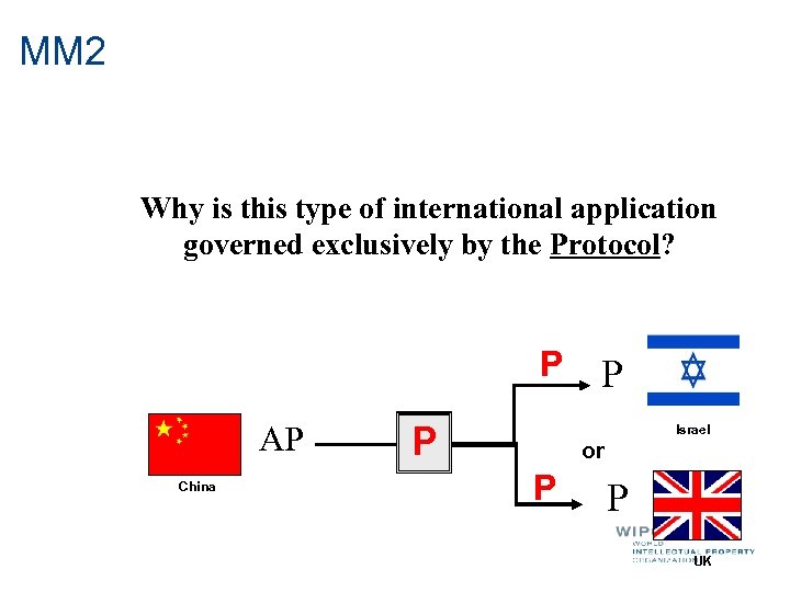 MM 2 Why is this type of international application governed exclusively by the Protocol?