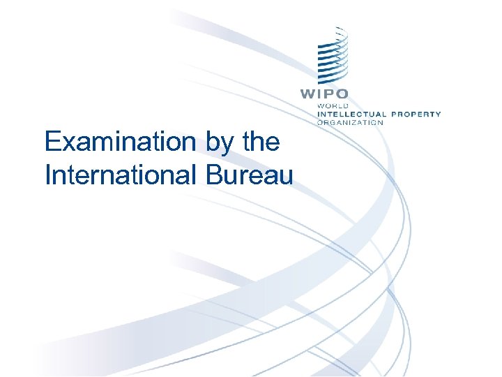Examination by the International Bureau 