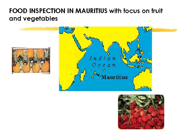 FOOD INSPECTION IN MAURITIUS with focus on fruit and vegetables 