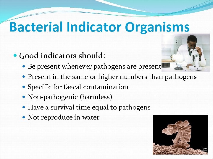 Bacterial Indicator Organisms Good indicators should: Be present whenever pathogens are present Present in