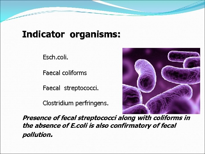 Indicator organisms: Esch. coli. Faecal coliforms Faecal streptococci. Clostridium perfringens. Presence of fecal streptococci