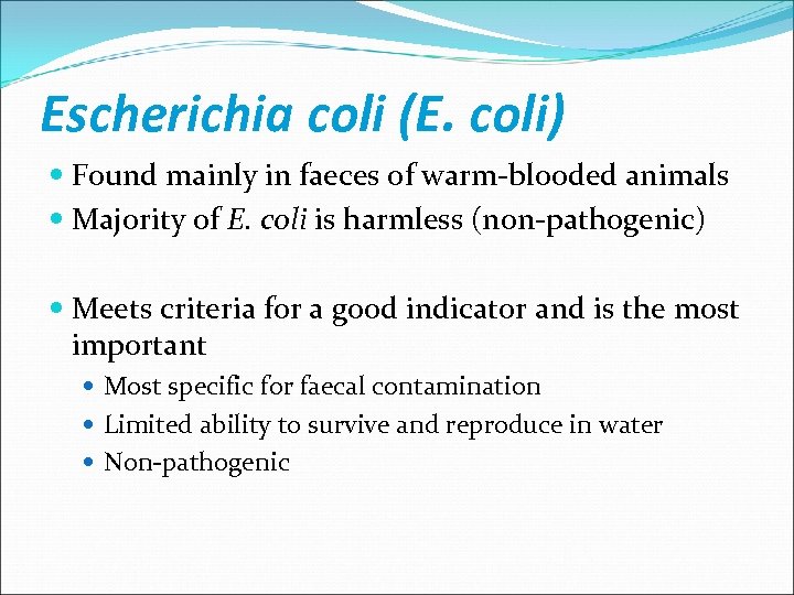 Escherichia coli (E. coli) Found mainly in faeces of warm-blooded animals Majority of E.