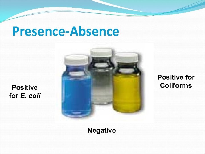 Presence-Absence Positive for Coliforms Positive for E. coli Negative 