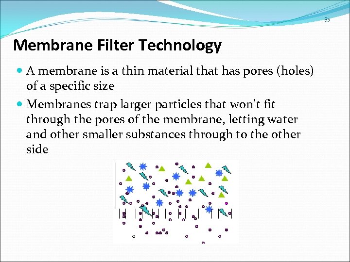 35 Membrane Filter Technology A membrane is a thin material that has pores (holes)