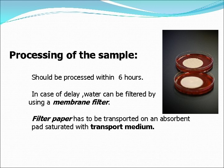 Processing of the sample: Should be processed within 6 hours. In case of delay