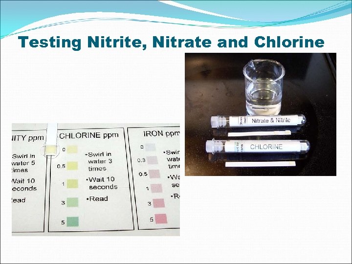 Testing Nitrite, Nitrate and Chlorine 