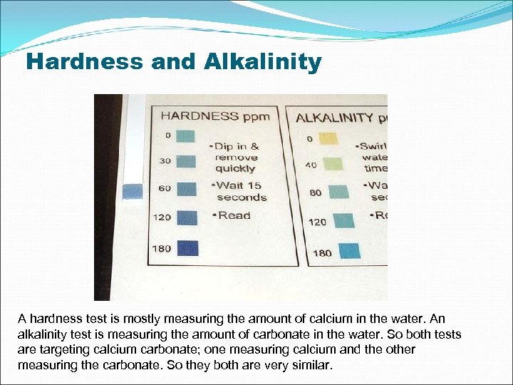 Hardness and Alkalinity A hardness test is mostly measuring the amount of calcium in