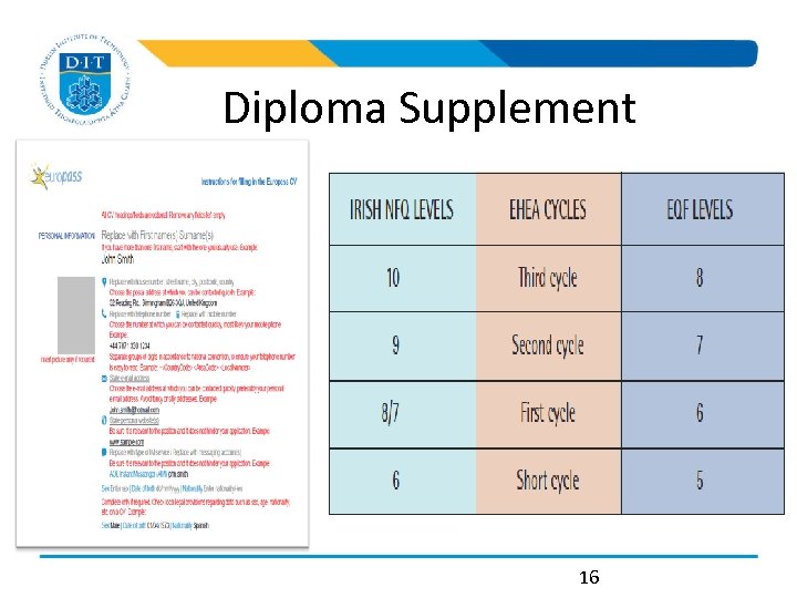 Diploma Supplement 16 