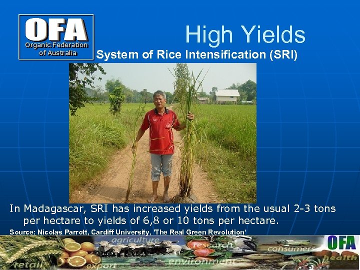 High Yields System of Rice Intensification (SRI) In Madagascar, SRI has increased yields from