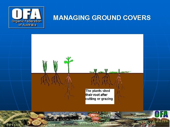 MANAGING GROUND COVERS Cut plants add organic carbon into the soil to feed the