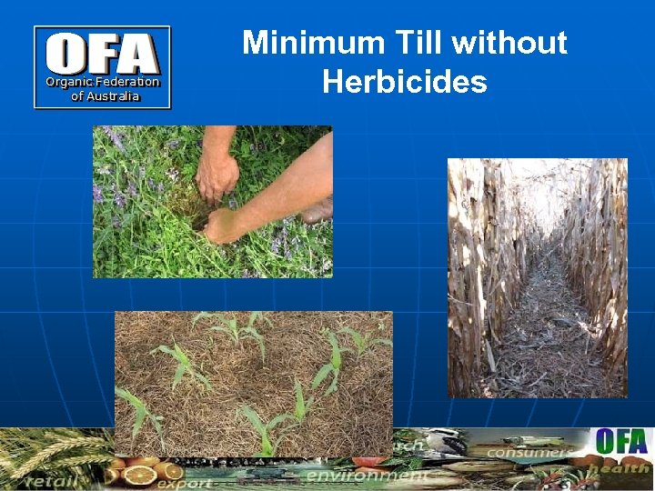 Minimum Till without Herbicides 