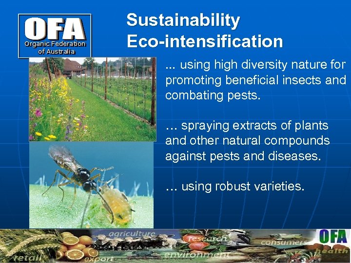 Sustainability Eco-intensification … using high diversity nature for promoting beneficial insects and combating pests.