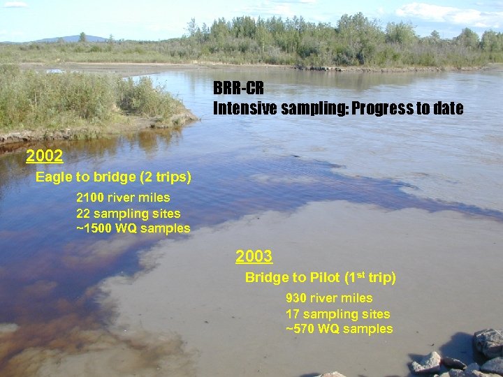 BRR-CR Intensive sampling: Progress to date 2002 Eagle to bridge (2 trips) 2100 river