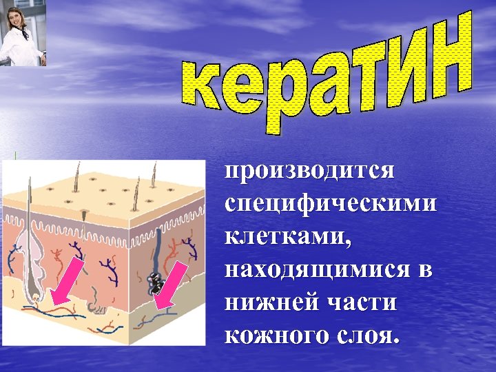 производится специфическими клетками, находящимися в нижней части кожного слоя. 