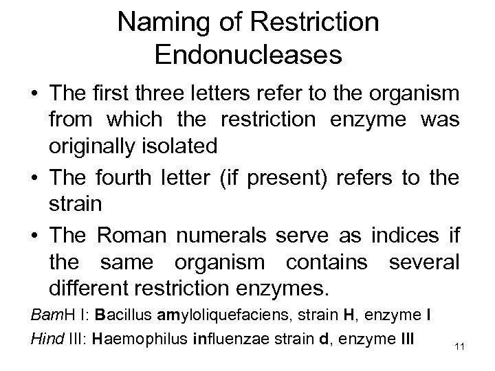 Naming of Restriction Endonucleases • The first three letters refer to the organism from