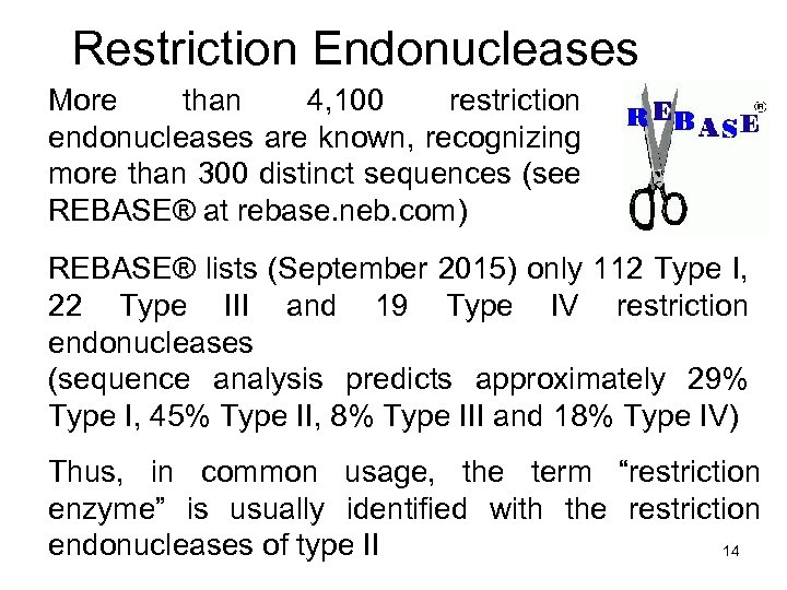 Molecular Biology II Molecular Cloning And Mouse Knockout