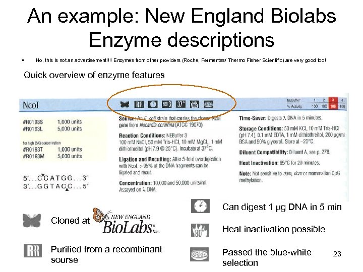 An example: New England Biolabs Enzyme descriptions • No, this is not an advertisement!!!!