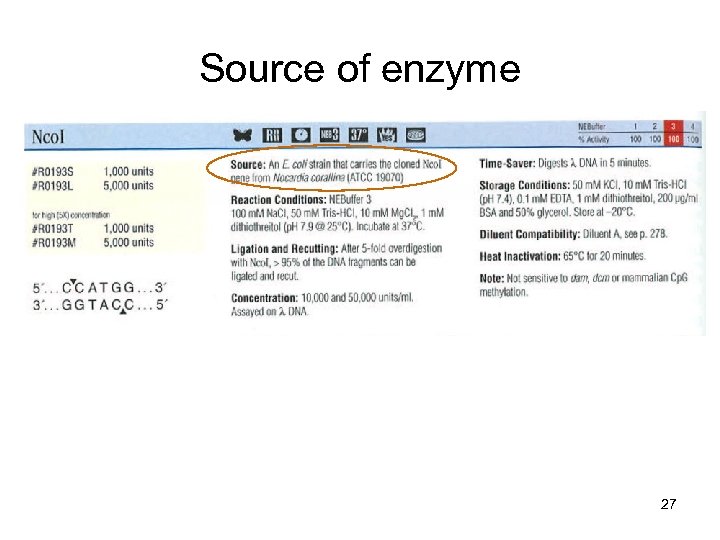 Source of enzyme 27 