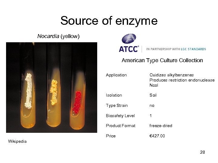 Source of enzyme Nocardia (yellow) American Type Culture Collection Application Oxidizes alkylbenzenes Produces restriction