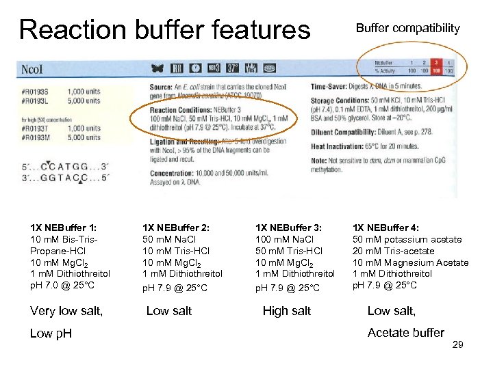 Reaction buffer features 1 X NEBuffer 1: 10 m. M Bis-Tris. Propane-HCl 10 m.