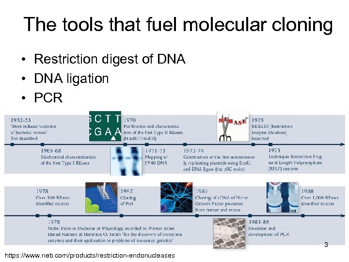 The tools that fuel molecular cloning • Restriction digest of DNA • DNA ligation