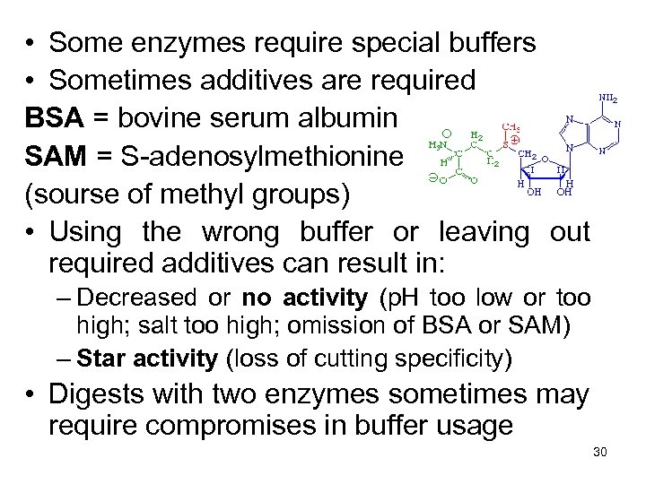  • Some enzymes require special buffers • Sometimes additives are required BSA =