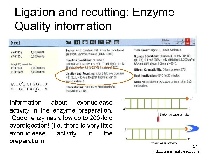 Ligation and recutting: Enzyme Quality information Information about exonuclease activity in the enzyme preparation.