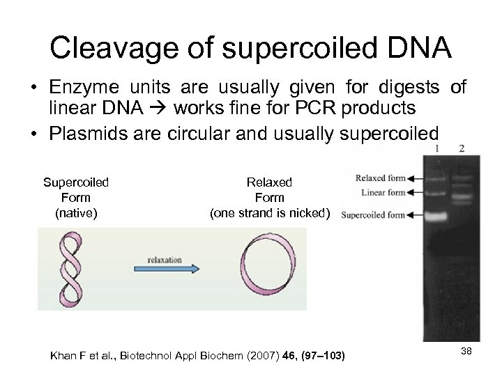 Cleavage of supercoiled DNA • Enzyme units are usually given for digests of linear