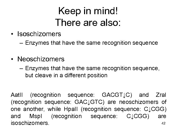 Keep in mind! There also: • Isoschizomers – Enzymes that have the same recognition