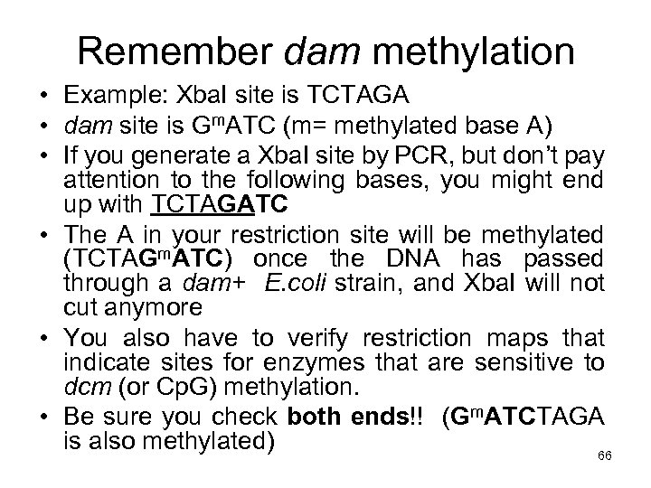 Remember dam methylation • Example: Xba. I site is TCTAGA • dam site is