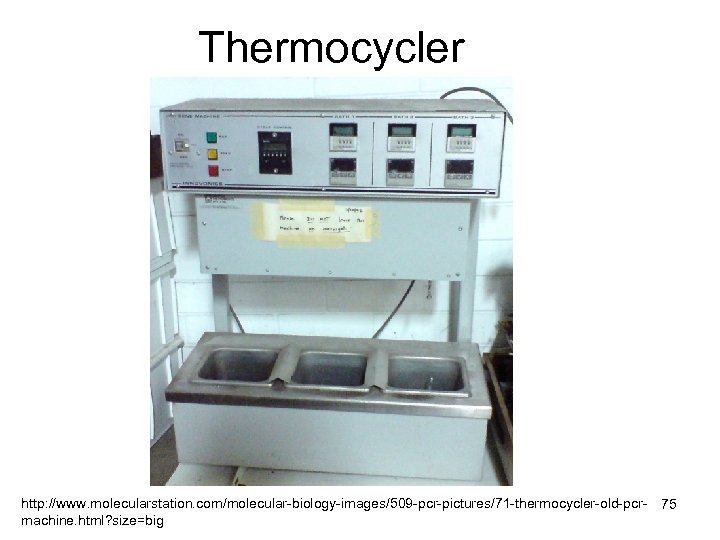 Thermocycler http: //www. molecularstation. com/molecular-biology-images/509 -pcr-pictures/71 -thermocycler-old-pcr- 75 machine. html? size=big 