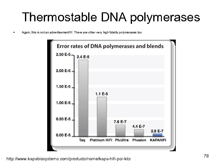 Thermostable DNA polymerases • Again, this is not an advertisement!!!! There are other very