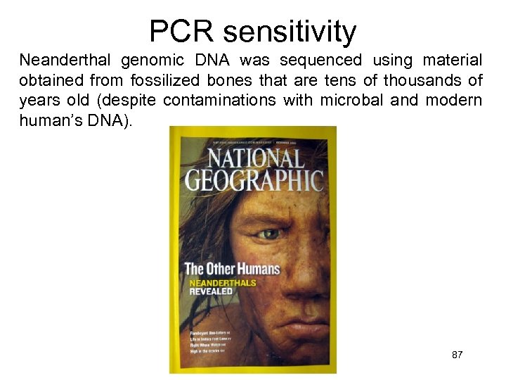 PCR sensitivity Neanderthal genomic DNA was sequenced using material obtained from fossilized bones that