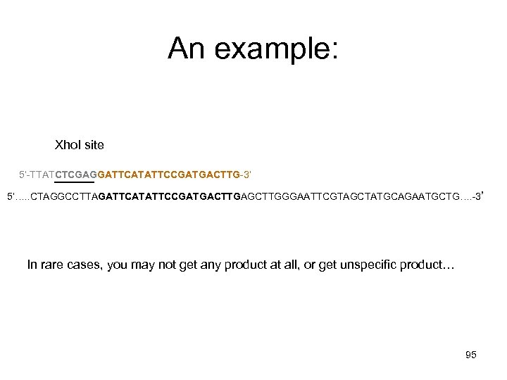 An example: Xho. I site 5’-TTATCTCGAGGATTCATATTCCGATGACTTG-3’ 5’…. . CTAGGCCTTAGATTCATATTCCGATGACTTGAGCTTGGGAATTCGTAGCTATGCAGAATGCTG…. -3’ In rare cases, you