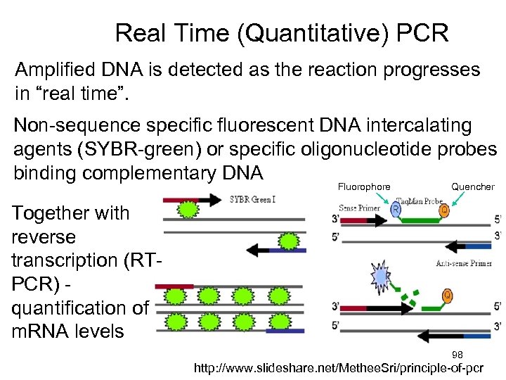 Real Time (Quantitative) PCR Amplified DNA is detected as the reaction progresses in “real