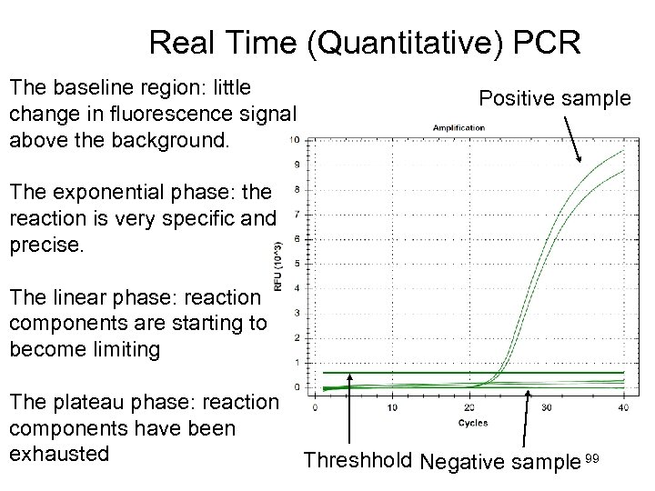 Real Time (Quantitative) PCR The baseline region: little change in fluorescence signal above the