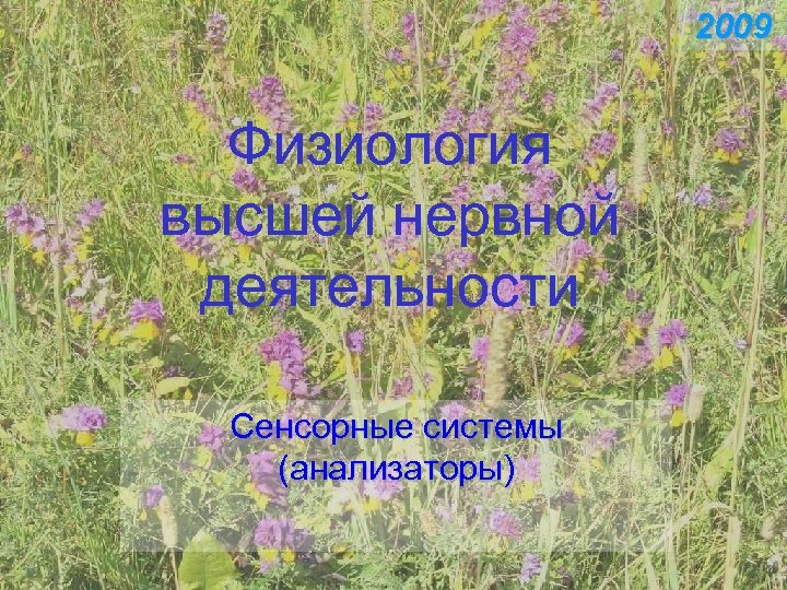 2009 Физиология высшей нервной деятельности Сенсорные системы (анализаторы) 